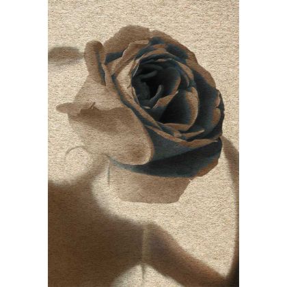 Małgorzata Kossakowska - fotografia artystyczna - dark rose foto #1