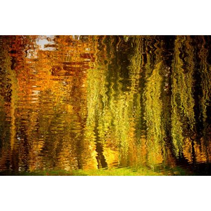 Naturalna kolorystyka jesieni czyli wodn, Dariusz Żabiński, fotografia artystyczna