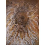 HELIANTHUS