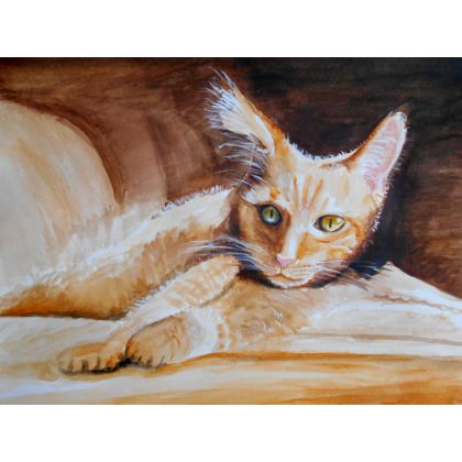 Kociak, Włodek Rybacki, obrazy akwarela