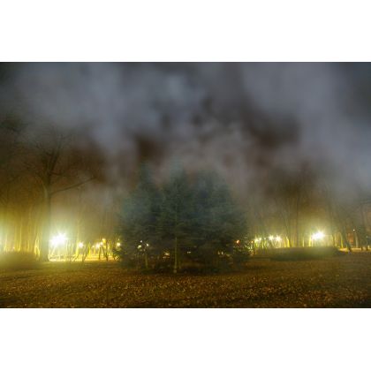 Park w szpitalu  w lutym., Dariusz Żabiński, fotografia artystyczna