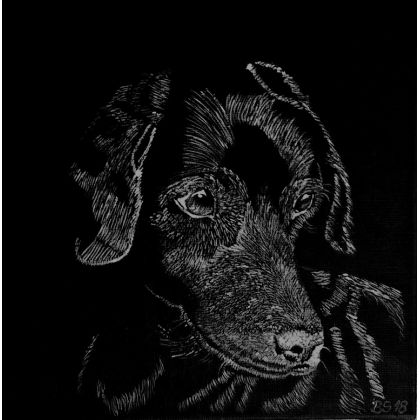 Pies Bari., Bogumiła Szufnara, obrazy akryl