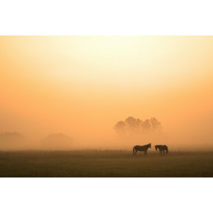 Wrześniowy świt., Dariusz Żabiński, fotografia artystyczna