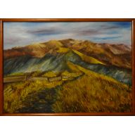 Krajobrazy polskie - Bieszczady, Połonia Caryńska