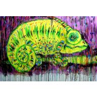 ZIELONY KAMELEON.....