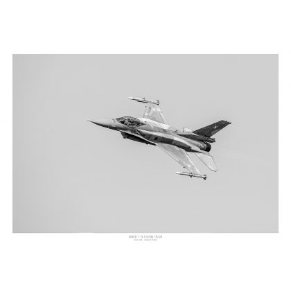 Agnieszka Potocka-Makoś - fotografia artystyczna - Plakat Samolot - F-16 100x70 foto #1