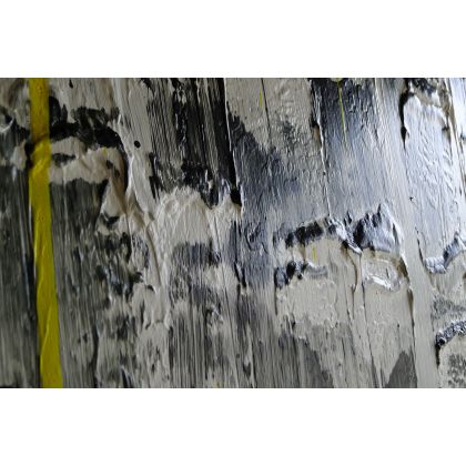 Krystyna Ciećwierska - obrazy akryl - brzozy w słońcu foto #4