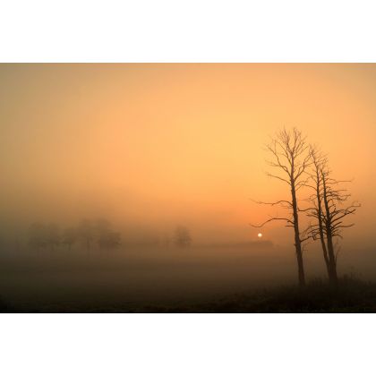 Wschód słońca z drzewami, Dariusz Żabiński, fotografia artystyczna