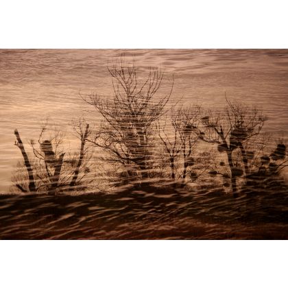 Pejzaż z drzewami, Dariusz Żabiński, fotomanipulacja
