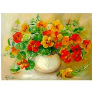 NASTURCJE 30-40CM