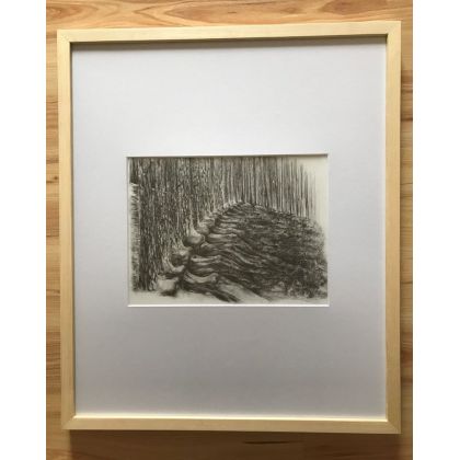 Las, Renata Mozołowska , rysunek ołówkiem