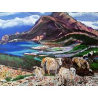 Kreta owce