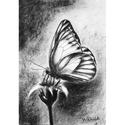 Motyl, A4, Monika Palichleb, rysunek węglem