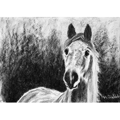 Horse, A4, Monika Palichleb, rysunek węglem