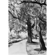 RAPHAEL PARK W LONDYNIE, A4