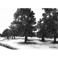 RAPHAEL PARK W LONDYNIE 2, A4