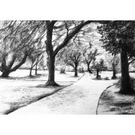 RAPHAEL PARK W LONDYNIE 3, A4