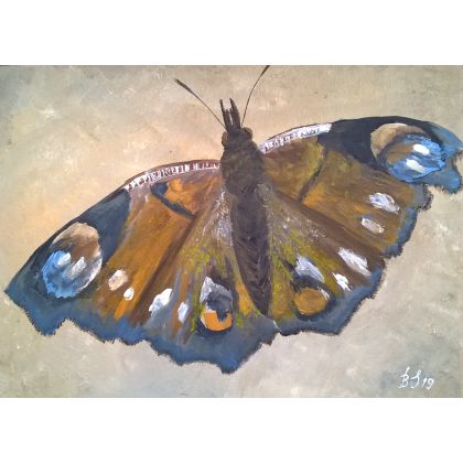 Motyl., Bogumiła Szufnara, obrazy akryl