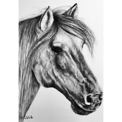Horse 2, A3, Monika Palichleb, rysunek węglem