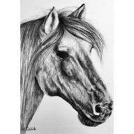 HORSE 2, A3