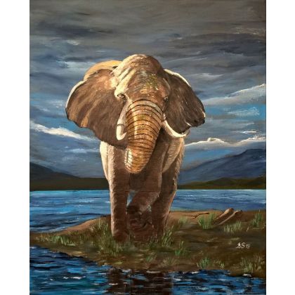 Słoń, Bogumiła Szufnara, obrazy akryl