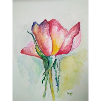 Paulina Lebida - obrazy akwarela - Kwiaty- cztery akwarele foto #3