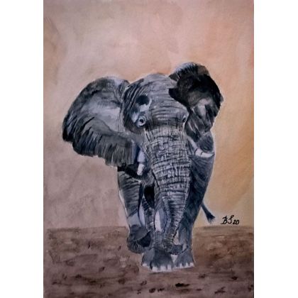 Słoń., Bogumiła Szufnara, obrazy akwarela