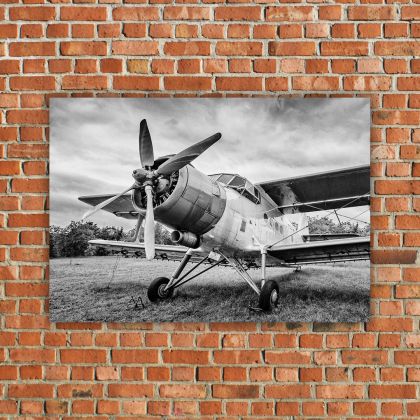 Plakat 100x70 cm - Samolot An-2, Agnieszka Potocka-Makoś, fotografia artystyczna