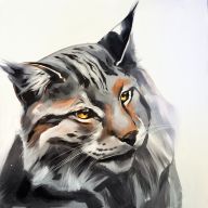 portret rysia