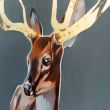 portret jelenia ze złotymi rogami