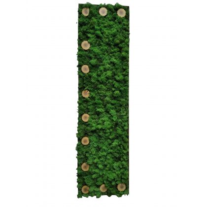 Panel dekoracyjny z chrobotka 31/114 cm, Izabela Habuda, dekory wiszące