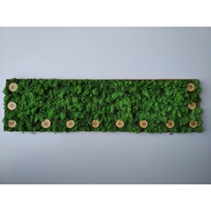 Izabela Habuda - dekory wiszące - Panel dekoracyjny z chrobotka 31/114 cm foto #1