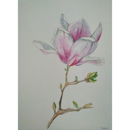 Magnolia- akwarela, Paulina Lebida, obrazy akwarela