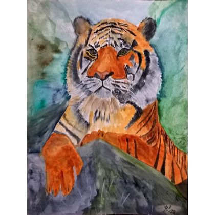 Tygrys syberyjski,  akwarela ., Bogumiła Szufnara, obrazy akwarela