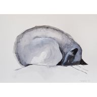 Śpiący kot -  praca wykonana tuszem