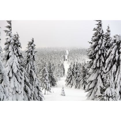 Zimowy krajobraz, Jan Brzeziński, fotografia artystyczna