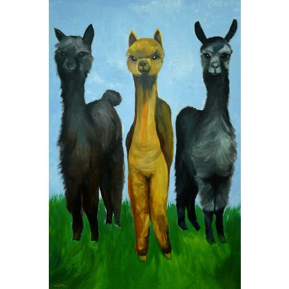 Trzy Alpaki, Olimpia Ciećwierska , obrazy akryl