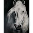 white horse II