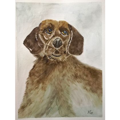 Portret Buffiego ., Bogumiła Szufnara, obrazy akwarela