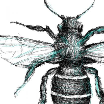 Maja Gajewska - grafika tech. mieszana - grafika - pszczoła - cykl owady foto #1
