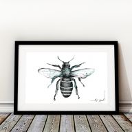 grafika - pszczoła - cykl owady