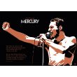 FREDDIE MERCURY dla p. MAGDY