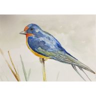 Niebieski ptaszek - akwarela