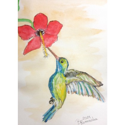 Koliber, Bożena Ronowska, obrazy akwarela