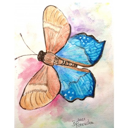 Motyl, Bożena Ronowska, obrazy akwarela