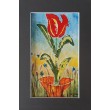 Tulipan