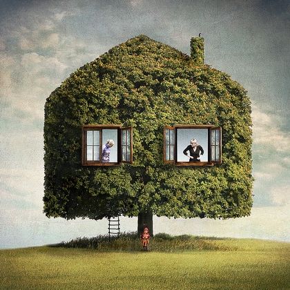 Drzewny dom, Fotoklimat, fotomanipulacja
