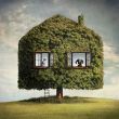 Drzewny dom