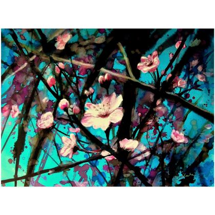 Kwitnienie * (płótno,60 cm x 45 cm), Joanna Magdalena, wydruki na płótnie