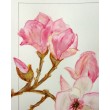 My flowers